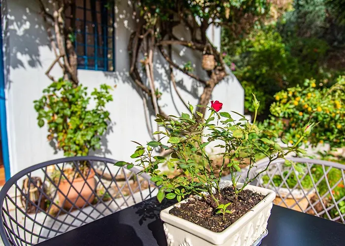 Ferienhaus Boutique Barbati